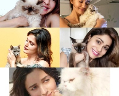Catwomen: Alia isn't the only Bollywood celeb in love with furry felines | Catwomen: Alia isn't the only Bollywood celeb in love with furry felines