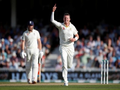 Peter Siddle wants to crack opportunity against New Zealand | Peter Siddle wants to crack opportunity against New Zealand