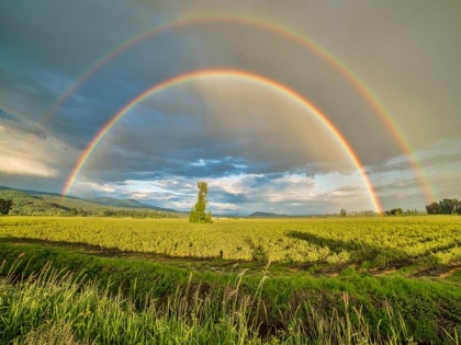Hawaii best place on Earth to experience the wonder of rainbows, feels scientist | Hawaii best place on Earth to experience the wonder of rainbows, feels scientist