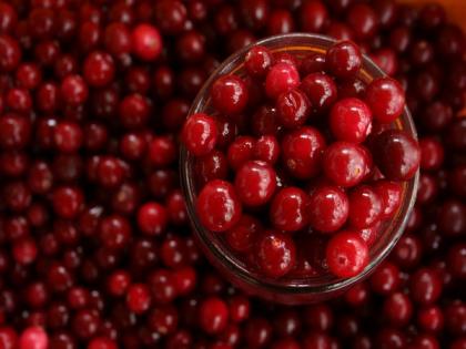 Daily consumption of cranberries can improve cardiovascular health, suggests study | Daily consumption of cranberries can improve cardiovascular health, suggests study