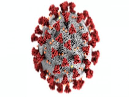 SARS-CoV2 variants emerge rapidly as virus can momentarily accelerate its evolutionary pace: Study | SARS-CoV2 variants emerge rapidly as virus can momentarily accelerate its evolutionary pace: Study