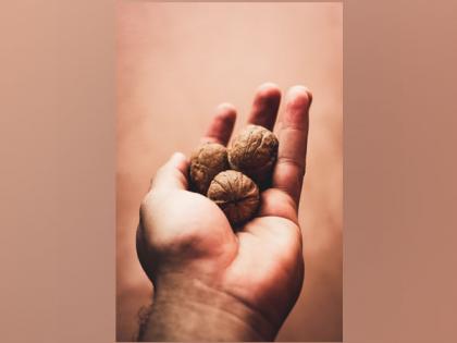 Study reveals walnuts helpful in cardiovascular disease | Study reveals walnuts helpful in cardiovascular disease