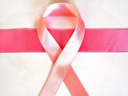 Resistance to certain cancer therapies may be caused by loss of anti-tumour protein : Study | Resistance to certain cancer therapies may be caused by loss of anti-tumour protein : Study Resistance to certain cancer therapies may be caused by loss of anti-tumour protein : Study | Resistance to certain cancer therapies may be caused by loss of anti-tumour protein : Study