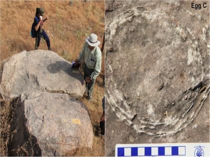 New fossil discovery from Central India throws light on the reproductive biology of sauropod dinosaurs | New fossil discovery from Central India throws light on the reproductive biology of sauropod dinosaurs