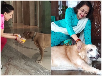 Hema Malini introduces her "special family members" | Hema Malini introduces her "special family members"