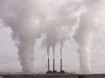 Study finds trees play major role in cleaner air in cities | Study finds trees play major role in cleaner air in cities Study finds trees play major role in cleaner air in cities | Study finds trees play major role in cleaner air in cities