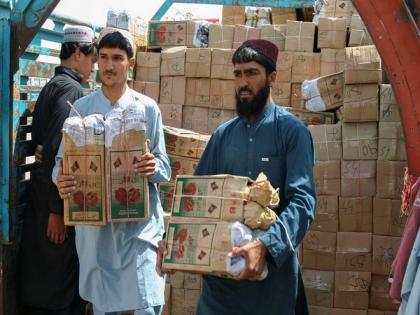 Pomegranate cultivators in Kandahar suffer losses due to closure of borders by Pakistan | Pomegranate cultivators in Kandahar suffer losses due to closure of borders by Pakistan