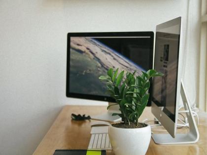 A desktop plant can be a workplace stress-buster: Study | A desktop plant can be a workplace stress-buster: Study A desktop plant can be a workplace stress-buster: Study | A desktop plant can be a workplace stress-buster: Study