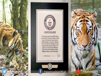 India's tiger census sets Guinness record for being largest camera trap wildlife survey | India's tiger census sets Guinness record for being largest camera trap wildlife survey