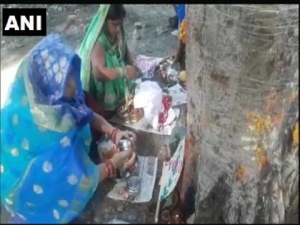 Several women get together to celebrate 'Vat Savitri Puja' in Prayagraj | Several women get together to celebrate 'Vat Savitri Puja' in Prayagraj