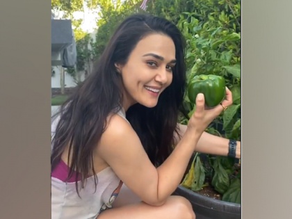 Preity Zinta's shows off capsicums from her ghar ki kheti | Preity Zinta's shows off capsicums from her ghar ki kheti