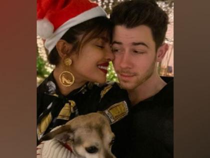 Priyanka Chopra Jonas wishes happy holidays with 'perfect' picture | Priyanka Chopra Jonas wishes happy holidays with 'perfect' picture Priyanka Chopra Jonas wishes happy holidays with 'perfect' picture | Priyanka Chopra Jonas wishes happy holidays with 'perfect' picture