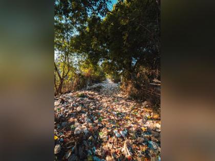 Technique to turn plastic waste trash into carbon dioxide sorbent discovered by scientists | Technique to turn plastic waste trash into carbon dioxide sorbent discovered by scientists