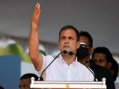 Rahul Gandhi continuously meeting Punjab Congress leaders to resolve crisis in state | Rahul Gandhi continuously meeting Punjab Congress leaders to resolve crisis in state