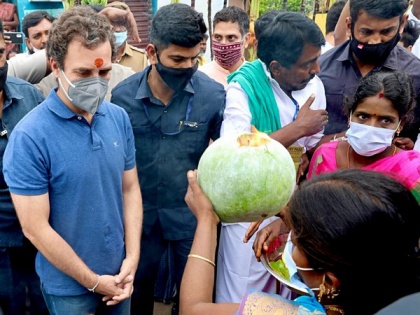 Will defend Tamil culture says Rahul Gandhi as he begins 3-day TN visit today | Will defend Tamil culture says Rahul Gandhi as he begins 3-day TN visit today