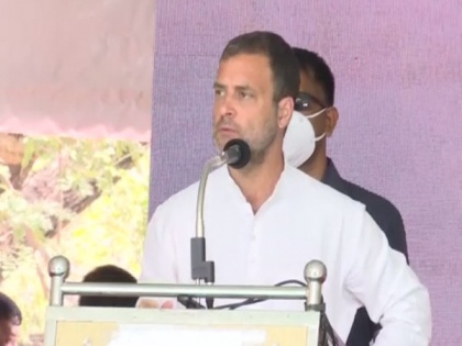 India needs jobs, jabs, BJP-led government gives jumlas, jibes: Rahul | India needs jobs, jabs, BJP-led government gives jumlas, jibes: Rahul