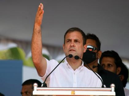 Centre hiding actual Covid deaths, alleges Rahul Gandhi | Centre hiding actual Covid deaths, alleges Rahul Gandhi