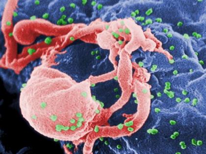 Young HIV patients have lower viral suppression rates than adults: Study | Young HIV patients have lower viral suppression rates than adults: Study