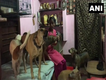 Karnataka: Mangaluru woman feeds 800 stray dogs daily | Karnataka: Mangaluru woman feeds 800 stray dogs daily