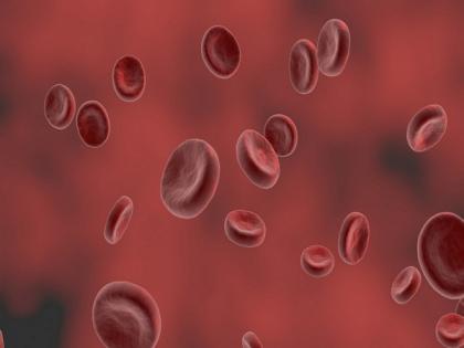 Study reveals single gene 'invented' haemoglobin several times | Study reveals single gene 'invented' haemoglobin several times Study reveals single gene 'invented' haemoglobin several times | Study reveals single gene 'invented' haemoglobin several times