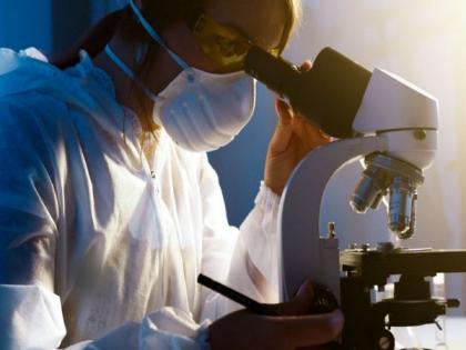 Researchers create extremely compressible gas of light particles | Researchers create extremely compressible gas of light particles Researchers create extremely compressible gas of light particles | Researchers create extremely compressible gas of light particles