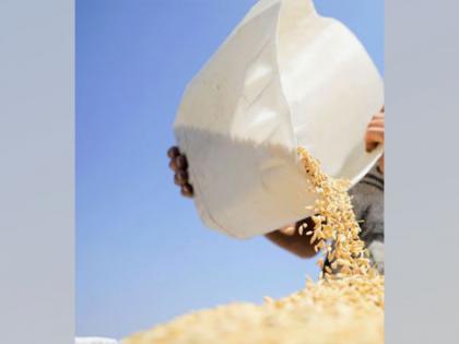 Sri Lanka to import 1 lakh metric tonnes rice from Myanmar | Sri Lanka to import 1 lakh metric tonnes rice from Myanmar