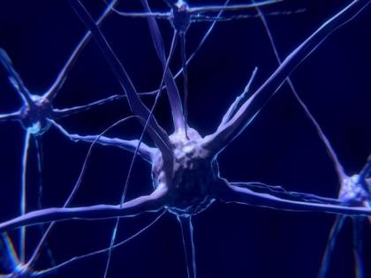 Researchers identify neurons involved in overdose deaths | Researchers identify neurons involved in overdose deaths