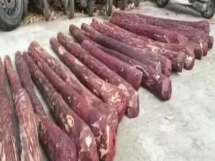 Andhra Police seizes 30 red sandal logs in Chittoor | Andhra Police seizes 30 red sandal logs in Chittoor Andhra Police seizes 30 red sandal logs in Chittoor | Andhra Police seizes 30 red sandal logs in Chittoor
