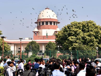 SC to pass order on plea against Maharashtra govt formation | SC to pass order on plea against Maharashtra govt formation