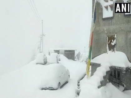 Himachal Pradesh: Jubling village of Lahaul-Spiti district covered in a blanket of snow | Himachal Pradesh: Jubling village of Lahaul-Spiti district covered in a blanket of snow
