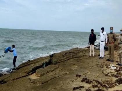 60 kg of Sea Cucumbers and Sea Cards seized in TN's Ramanathapuram | 60 kg of Sea Cucumbers and Sea Cards seized in TN's Ramanathapuram