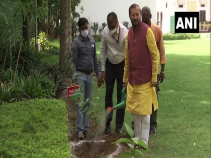 India has target of creating additional 2 billion carbon sequestration by 2030, says Javadekar | India has target of creating additional 2 billion carbon sequestration by 2030, says Javadekar