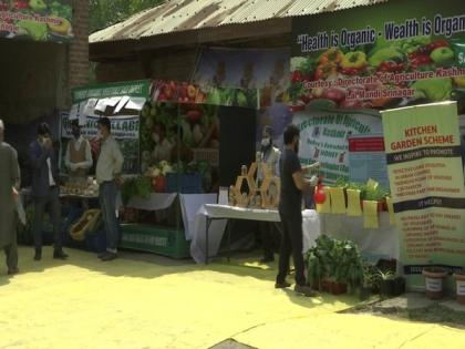 J-K sets up organic vegetable market in Srinagar with aim to revive traditional farming | J-K sets up organic vegetable market in Srinagar with aim to revive traditional farming