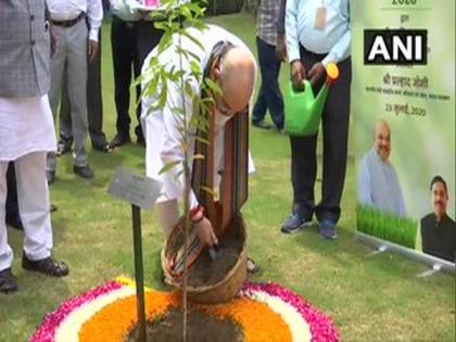 Amit Shah launches 'Tree Plantation Drive-2020' | Amit Shah launches 'Tree Plantation Drive-2020'