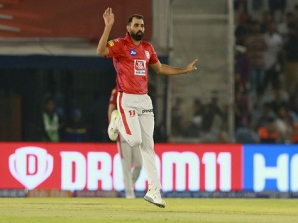Kohli gives us freedom to play to our strength, says Shami | Kohli gives us freedom to play to our strength, says Shami