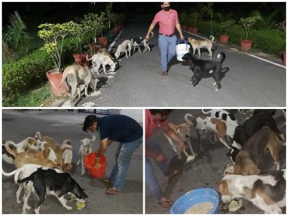 Noida youth turns saviour for man's best friend during lockdown, feeds 700 strays daily | Noida youth turns saviour for man's best friend during lockdown, feeds 700 strays daily