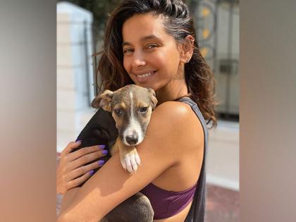 Shibani Dandekar posts adorable picture with pet dog 'Tyson Akhtar' | Shibani Dandekar posts adorable picture with pet dog 'Tyson Akhtar'