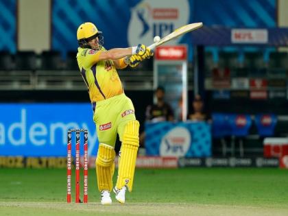 Watson announces retirement, bids farewell to 'beloved' CSK | Watson announces retirement, bids farewell to 'beloved' CSK