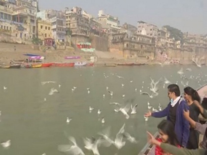Tourists flock at Ganga ghats in UP's Varanasi after arrival of Siberian birds | Tourists flock at Ganga ghats in UP's Varanasi after arrival of Siberian birds