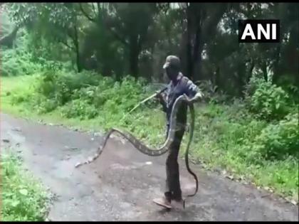15-feet-long King Cobra rescued in Tamil Nadu | 15-feet-long King Cobra rescued in Tamil Nadu
