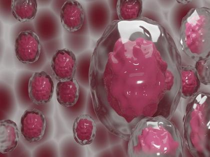 Stem cell treatment for vascular diseases can be predicted through real-time observation | Stem cell treatment for vascular diseases can be predicted through real-time observation