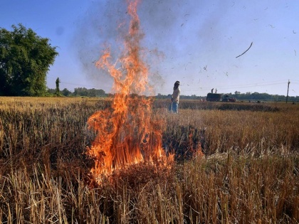 Stubble burning: UP withdraws 868 cases against farmers | Stubble burning: UP withdraws 868 cases against farmers