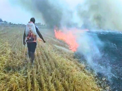 UP: 65% dip in stubble burning incidents in five years | UP: 65% dip in stubble burning incidents in five years UP: 65% dip in stubble burning incidents in five years | UP: 65% dip in stubble burning incidents in five years