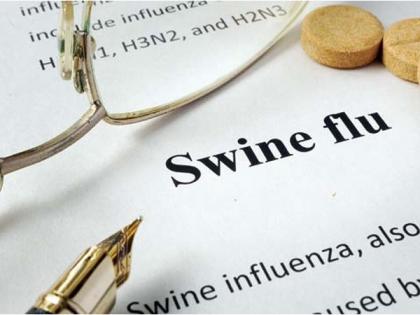 'H1N1 virus claimed 1,076 lives in 2019, over 26,000 infected' | 'H1N1 virus claimed 1,076 lives in 2019, over 26,000 infected' 'H1N1 virus claimed 1,076 lives in 2019, over 26,000 infected' | 'H1N1 virus claimed 1,076 lives in 2019, over 26,000 infected'