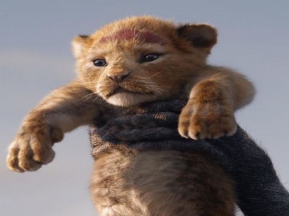 'The Lion King' is unstoppable, crosses Rs 75 crore mark | 'The Lion King' is unstoppable, crosses Rs 75 crore mark