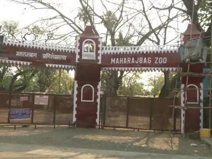 Combating COVID-19: Nagpur's Maharaj Bagh Zoo closed | Combating COVID-19: Nagpur's Maharaj Bagh Zoo closed