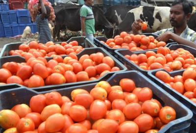 UP Mandi Parishad selling tomatoes at Rs 75 per kg | UP Mandi Parishad selling tomatoes at Rs 75 per kg