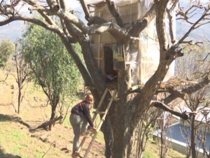 Students build tree house to beat internet connectivity problems in J-K's Udhampur | Students build tree house to beat internet connectivity problems in J-K's Udhampur