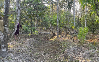Centre issues model rules to states/UTs to aid ease of doing business in agroforestry | Centre issues model rules to states/UTs to aid ease of doing business in agroforestry Centre issues model rules to states/UTs to aid ease of doing business in agroforestry | Centre issues model rules to states/UTs to aid ease of doing business in agroforestry