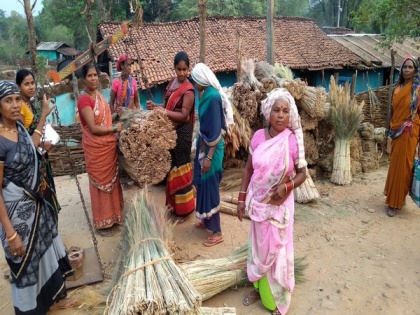 Chhattisgarh: Narayanpur tribals successfully deliver 35,000 brooms worth Rs 11.9 lakh to NAFED | Chhattisgarh: Narayanpur tribals successfully deliver 35,000 brooms worth Rs 11.9 lakh to NAFED